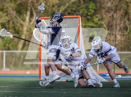 Thumbnail 2 in Wilton @ Staples photogallery.