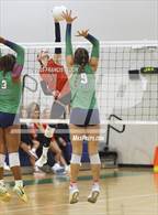 Photo from the gallery "Bloomingdale @ Sumner"