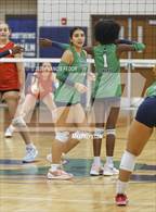 Photo from the gallery "Bloomingdale @ Sumner"
