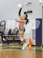 Photo from the gallery "Bloomingdale @ Sumner"