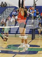 Photo from the gallery "Bloomingdale @ Sumner"