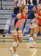 Photo from the gallery "Bloomingdale @ Sumner"