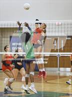 Photo from the gallery "Bloomingdale @ Sumner"