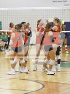 Photo from the gallery "Bloomingdale @ Sumner"