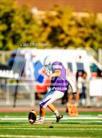 Photo from the gallery "Laguna Creek @ Franklin"