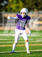 Photo from the gallery "Laguna Creek @ Franklin"
