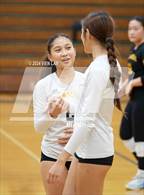 Photo from the gallery "Alameda @ Castro Valley"