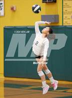 Photo from the gallery "Alameda @ Castro Valley"