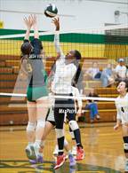 Photo from the gallery "Alameda @ Castro Valley"