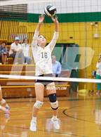 Photo from the gallery "Alameda @ Castro Valley"