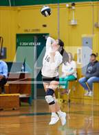 Photo from the gallery "Alameda @ Castro Valley"