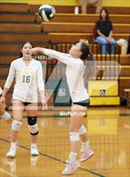 Photo from the gallery "Alameda @ Castro Valley"
