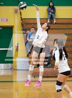 Photo from the gallery "Alameda @ Castro Valley"