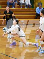 Photo from the gallery "Alameda @ Castro Valley"