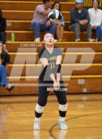 Photo from the gallery "Alameda @ Castro Valley"
