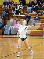 Photo from the gallery "Alameda @ Castro Valley"