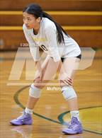 Photo from the gallery "Alameda @ Castro Valley"