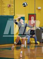 Photo from the gallery "Alameda @ Castro Valley"