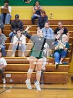 Photo from the gallery "Alameda @ Castro Valley"