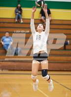 Photo from the gallery "Alameda @ Castro Valley"