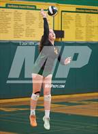 Photo from the gallery "Alameda @ Castro Valley"