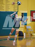 Photo from the gallery "Alameda @ Castro Valley"