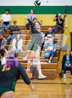 Photo from the gallery "Alameda @ Castro Valley"