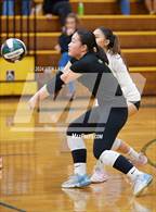 Photo from the gallery "Alameda @ Castro Valley"