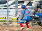 Photo from the gallery "Los Alamitos vs. Cypress"