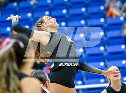 Thumbnail 2 in Clark @ Brandeis photogallery.