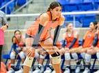 Photo from the gallery "Clark @ Brandeis"