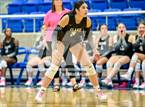 Photo from the gallery "Clark @ Brandeis"