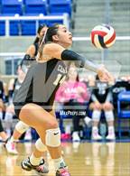 Photo from the gallery "Clark @ Brandeis"