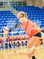 Photo from the gallery "Clark @ Brandeis"