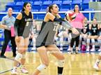 Photo from the gallery "Clark @ Brandeis"