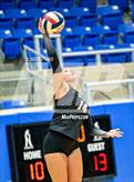 Photo from the gallery "Clark @ Brandeis"