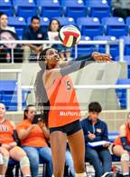 Photo from the gallery "Clark @ Brandeis"