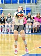 Photo from the gallery "Clark @ Brandeis"