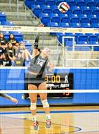 Photo from the gallery "Clark @ Brandeis"