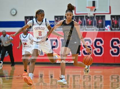 Thumbnail 3 in Summer Creek @ Cypress Springs photogallery.