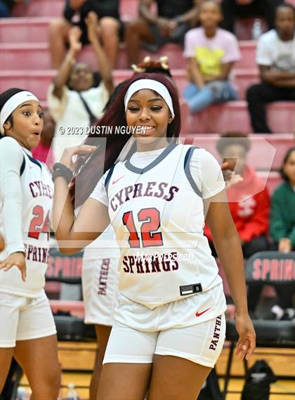 Thumbnail 1 in Summer Creek @ Cypress Springs photogallery.