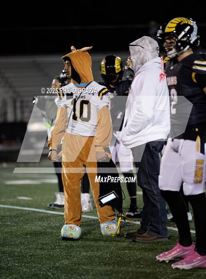 Thumbnail 3 in Conifer @ Green Mountain photogallery.