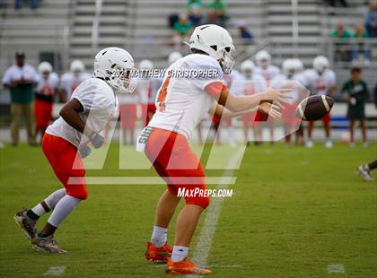 Thumbnail 3 in South Walton @ Mosley photogallery.