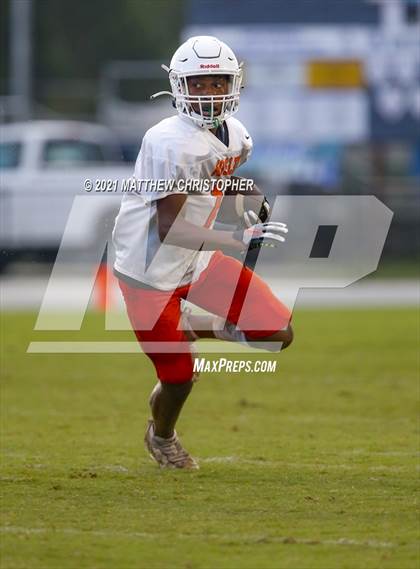 Thumbnail 1 in South Walton @ Mosley photogallery.