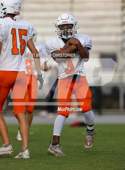 Thumbnail 2 in South Walton @ Mosley photogallery.