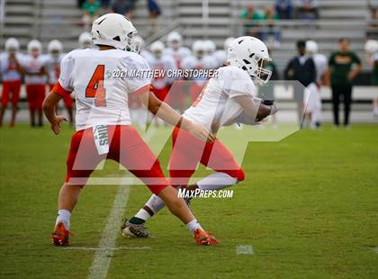 Thumbnail 1 in South Walton @ Mosley photogallery.
