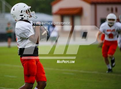 Thumbnail 1 in South Walton @ Mosley photogallery.
