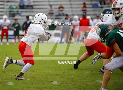 Thumbnail 2 in South Walton @ Mosley photogallery.