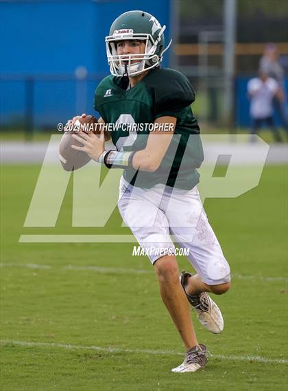Thumbnail 2 in South Walton @ Mosley photogallery.