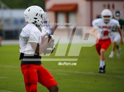Thumbnail 2 in South Walton @ Mosley photogallery.